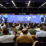 La COP15 protège 40 nouvelles espèces migratrices à l'ONU avec de nouveaux plans et résolutions