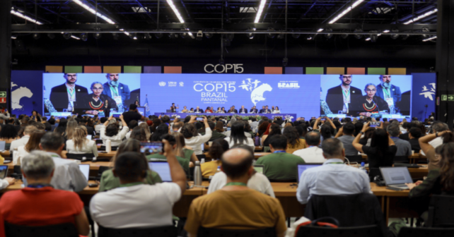 COP15 protege 40 nuevas especies migratorias en la ONU