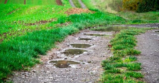 Galicia impulsa una ley pionera para restaurar ecosistemas degradados