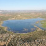 La Laguna del Conde à Cordoue étend la restauration environnementale avec de nouveaux hectares clés pour la biodiversité