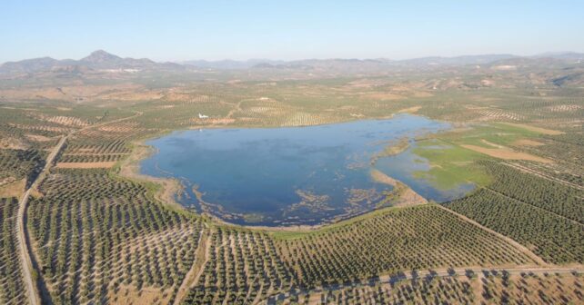 Laguna del Conde en Córdoba amplía restauración ambiental con nuevas hectáreas