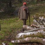 La chasse autorisée dans les montagnes incendiées de León suscite un rejet scientifique et juridique croissant