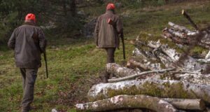 La caza permitida en los montes quemados de León genera rechazo en zona afectada