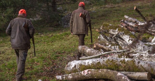 La caza permitida en los montes quemados de León genera rechazo en zona afectada