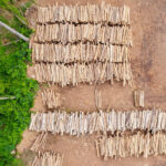 La déforestation mondiale progresse alors que l’UE affaiblit la loi contre les principales importations