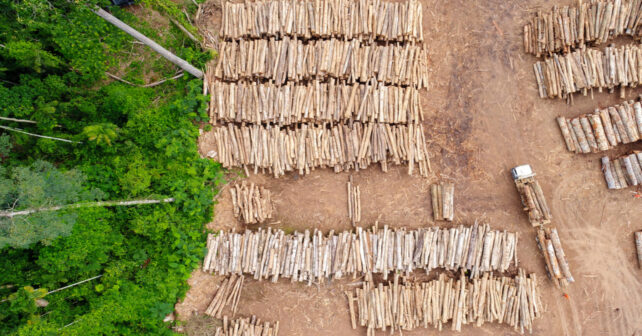 Deforestación global avanza mientras la UE debilita ley contra importaciones