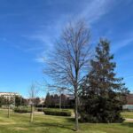 La météo aujourd'hui 16 mars en Espagne avec une hausse générale des températures