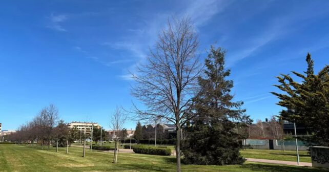 El tiempo hoy 16 de marzo en España con subida generalizada de temperaturas