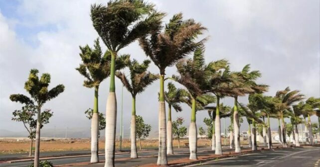 Borrasca Therese golpea Canarias con tormentas y viento fuerte en el tiempo hoy 21 de marzo en España