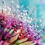 La météo d'aujourd'hui, 25 mars, en Espagne active des avertissements de pluie et de vent avec tempêtes, neige et fortes vagues.