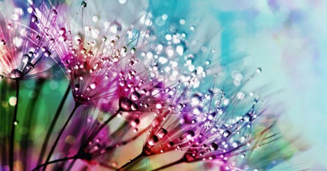 El tiempo hoy 25 de marzo en España activa avisos por lluvias y viento