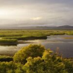 Las Tablas de Daimiel atteint son inondation maximale après les pluies et réactive la zone humide