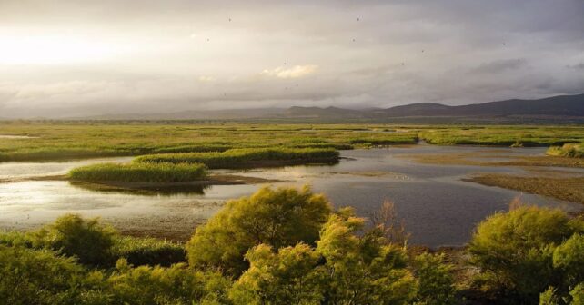Las Tablas de Daimiel alcanzan máxima inundación tras lluvias con agua y vegetación