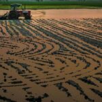 Le WWF soutient le parquet pour exiger la responsabilité environnementale des prélèvements illégaux d'eau à Doñana