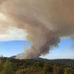 Le changement climatique pourrait doubler les perturbations forestières en Europe d’ici 2100 et tripler les incendies