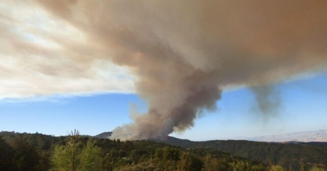 El cambio climático podría duplicar las perturbaciones forestales en Europa antes de 2100 según estudio en Science