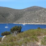 Le retard dans la protection du parc de Cabrera met en danger sa biodiversité marine après avoir perdu 40%