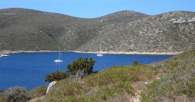 El retraso en la protección del Parque de Cabrera pone en riesgo su biodiversidad marina