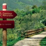 Les écologistes dénoncent l'abandon des sentiers de bétail et des voies publiques en raison de l'inaction administrative