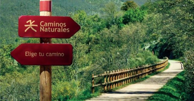 Ecologistas denuncian abandono de vías pecuarias y caminos públicos en entorno natural