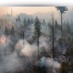 Les îles Canaries intègrent des robots pour prévenir les incendies de forêt et améliorer la sécurité