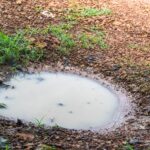 Les scientifiques mettent en garde : ils découvrent que l'agriculture détruit la capacité de la terre à retenir l'eau, aggravant ainsi les sécheresses extrêmes.