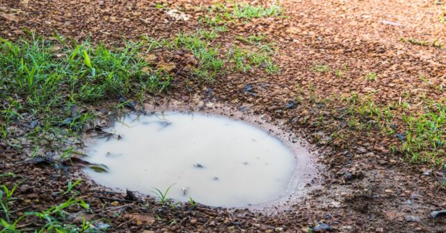Suelo agrícola compactado con agua estancada en la superficie tras la lluvia.