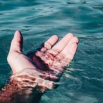 Pollution par les produits chimiques de synthèse dans l'océan et ses effets sur les écosystèmes marins