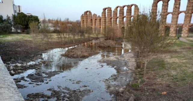 Renaturalización río Albarregas en Mérida
