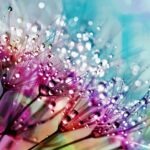 Source chaude en Espagne après un hiver très humide avec des tempêtes record