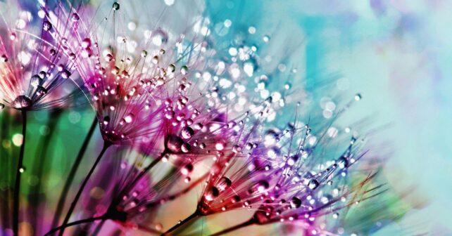 Primavera calurosa en España tras un invierno muy húmedo