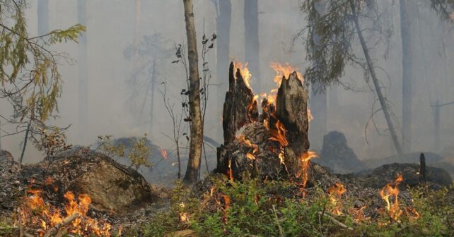 tecnología digital para gestión de incendios forestales en Aragón