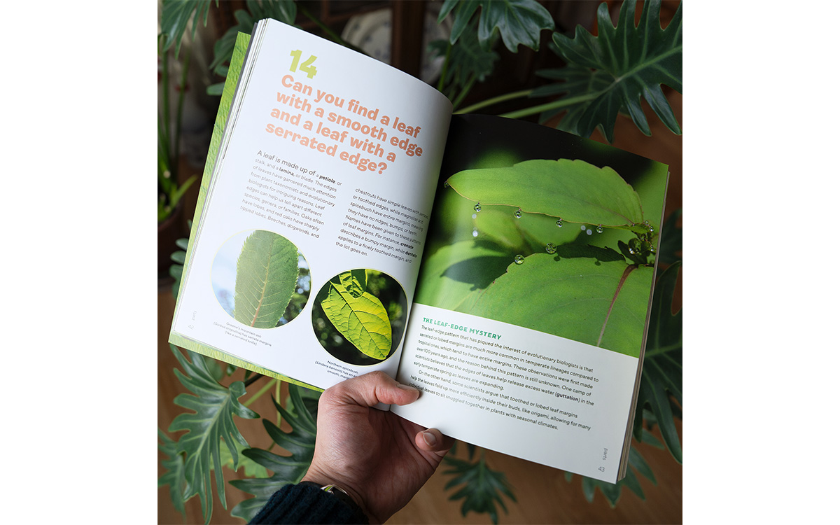 Photo gracieuseté de Ben Goulet-Scott 