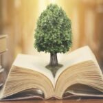 Actualisation du plan d'éducation environnementale dans les Îles Baléares : le processus commence après plus de 20 ans d'inaction