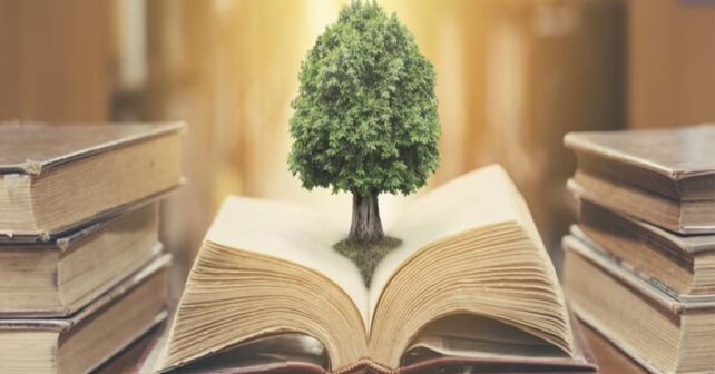 actualización del plan de educación ambiental en Baleares reunión institucional