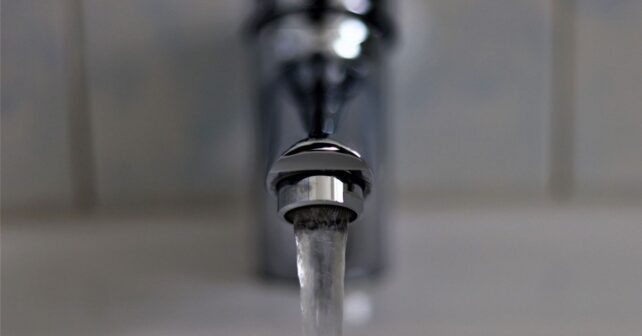 Greenpeace alerta nitratos en agua del grifo en más de la mitad de municipios con mapa interactivo