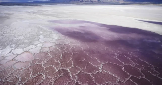 Photo de Rick Bowmer/AP