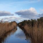 Améliorations à s'Albufera de Majorque : investissement de 600 000 euros après 8 ans sans activité