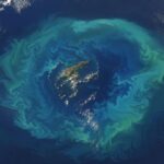 Cela ressemble à un spectacle naturel mais c'est un piège : un satellite capture un étrange anneau lumineux dans l'océan lié à un plateau sous-marin mortel.