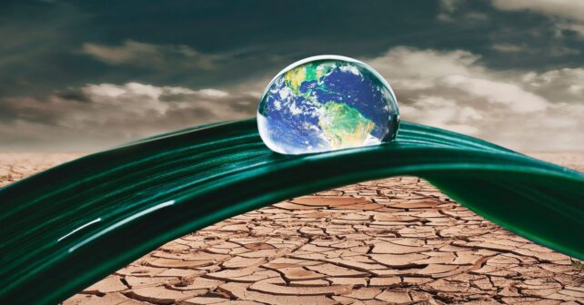 ClientEarth y el derecho clave frente a la crisis climática y la pérdida de biodiversidad evento expertos