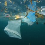 Congrès Seas of Consequences sur les crimes environnementaux dans les océans : le débat mondial atteint les îles Baléares