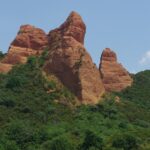 El Bierzo devient un laboratoire forestier pour lutter contre les ravageurs et le changement climatique