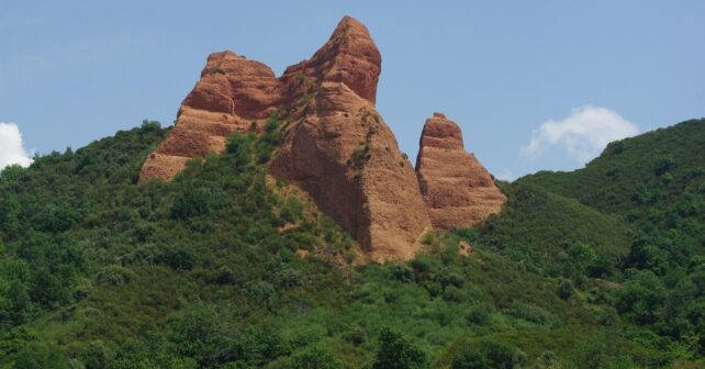 El Bierzo se convierte en laboratorio forestal para combatir plagas y el cambio climático