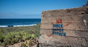 Greenpeace denuncia el proyecto Ocean Citizen en Tenerife Punta Blanca