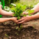 Ier Congrès International de la Biodiversité et de l'Agriculture : la clé de l'avenir des campagnes