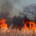 Incendies de forêt en Cantabrie – 7 avril 2026