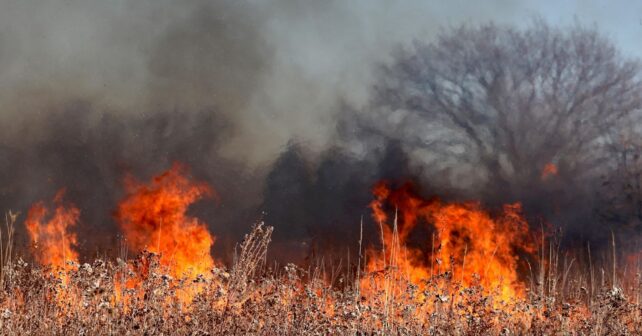 Incendios Forestales en Cantabria