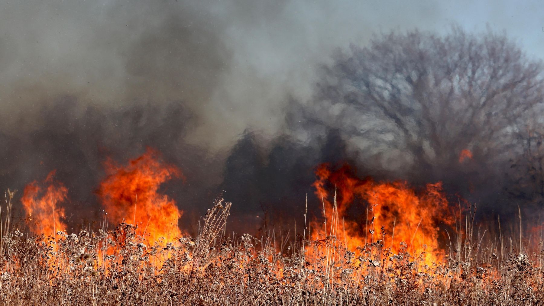 incendies-de-for-t-en-cantabrie-7-avril-2026-esp-ces-menac-es-fr