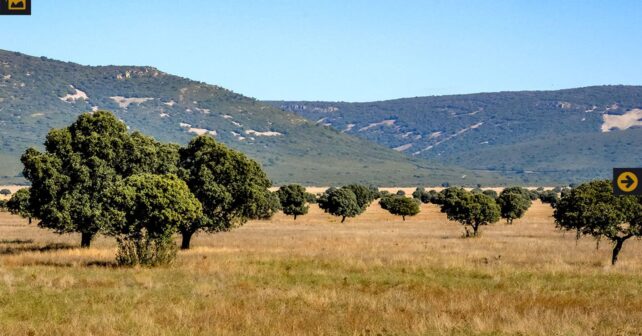 inversión en el Parque Nacional de Cabañeros para reforzar la conservación paisaje natural