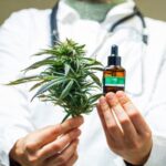 Journée internationale de la marijuana 2026 : avantages, risques et tout ce que vous devez savoir